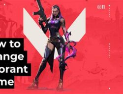 How to Change Your Valorant Brand, A Quick Guide